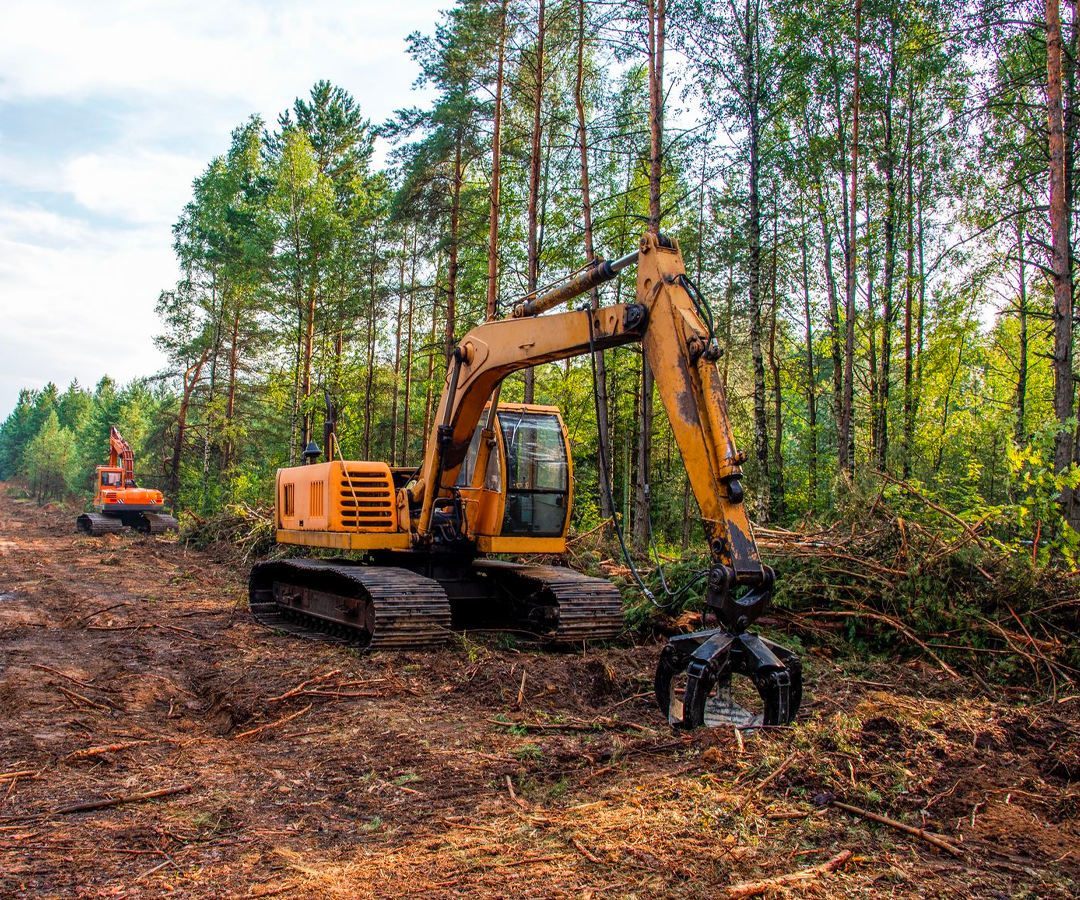Land Clearing